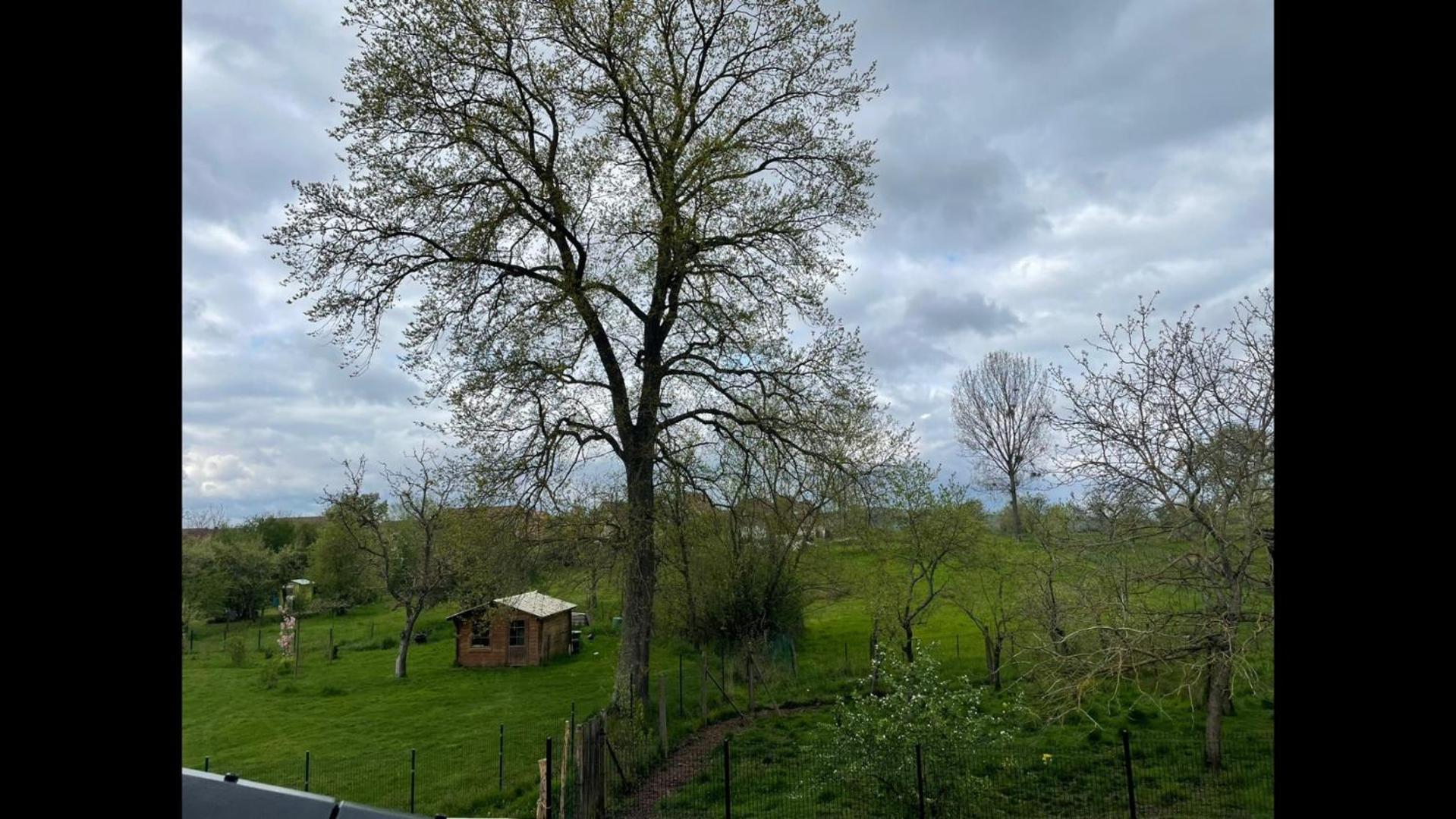 Maison 21 Zutzendorf Luaran gambar